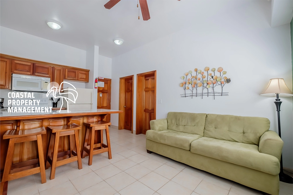 Apartment living room with kitchen and sofa.