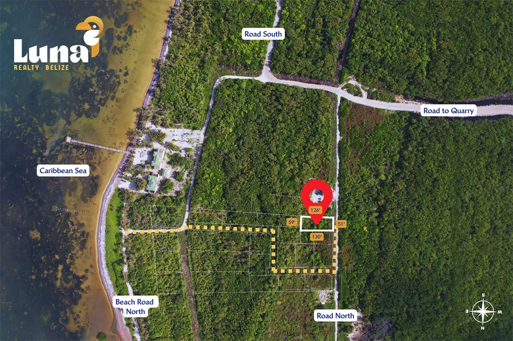 Aerial view of forested land and roads.