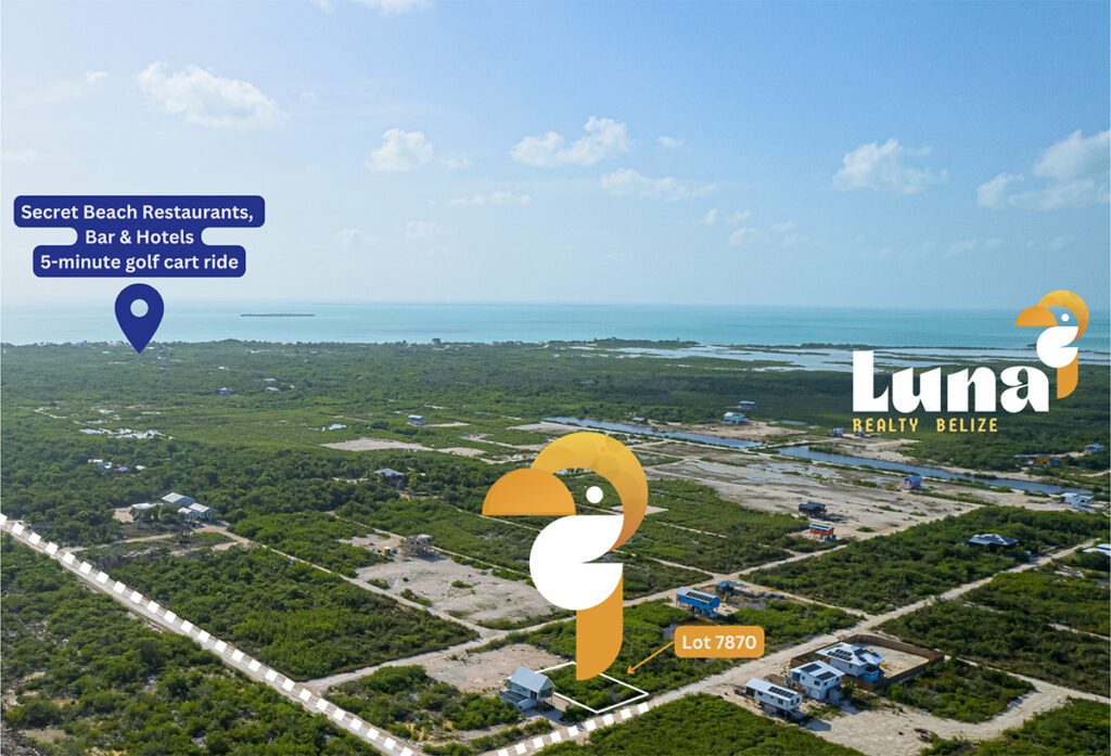 Aerial view of Luna Realty Belize property.