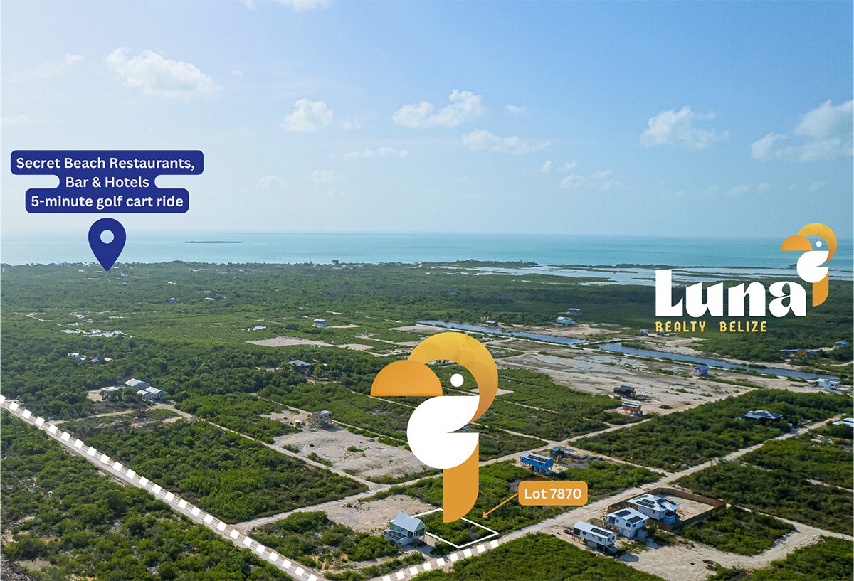 Aerial view of Luna Realty Belize property.