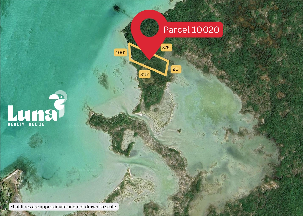 Map highlighting Parcel 10020 in Belize.