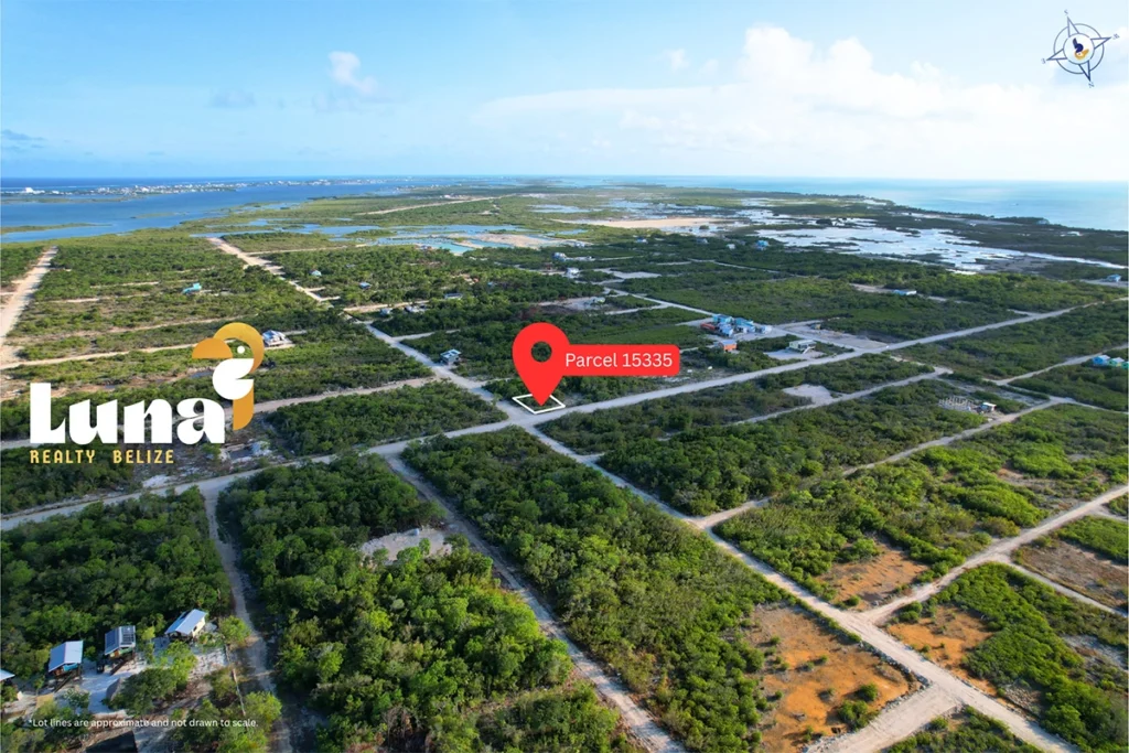 Aerial view of land parcel in Belize.