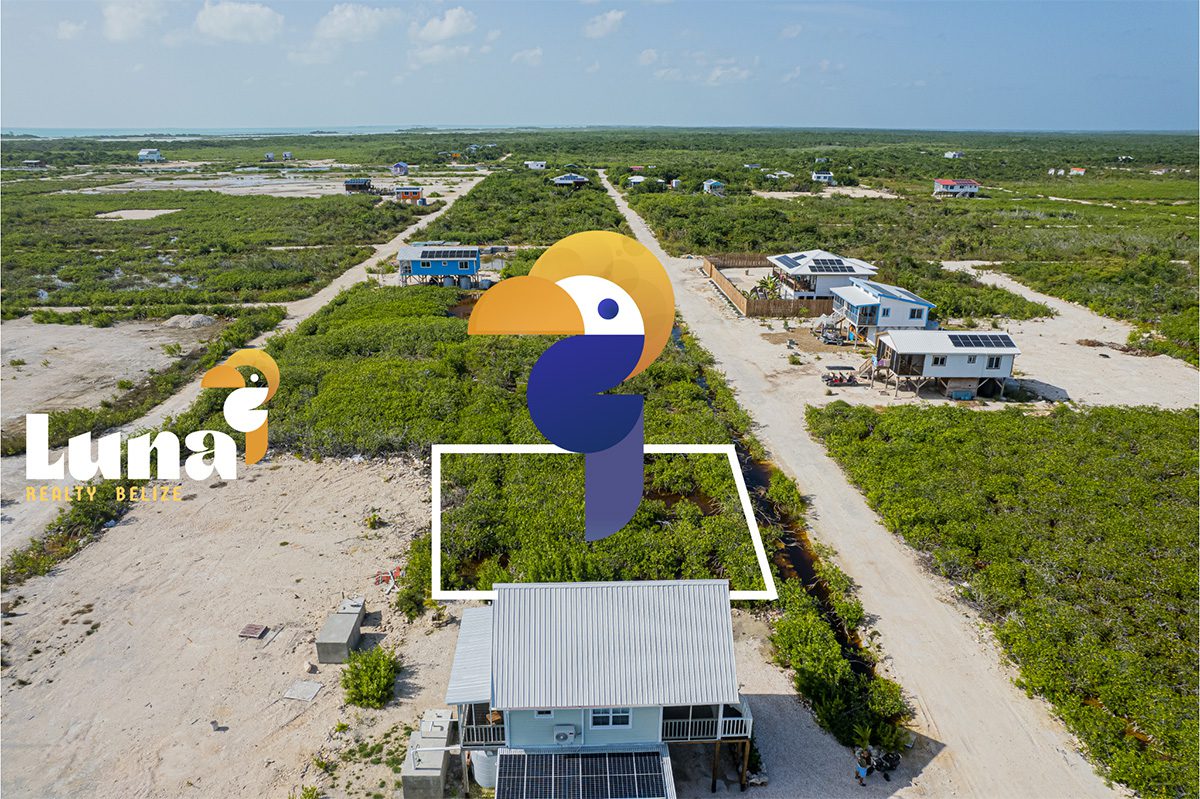 Aerial view of undeveloped land plot.