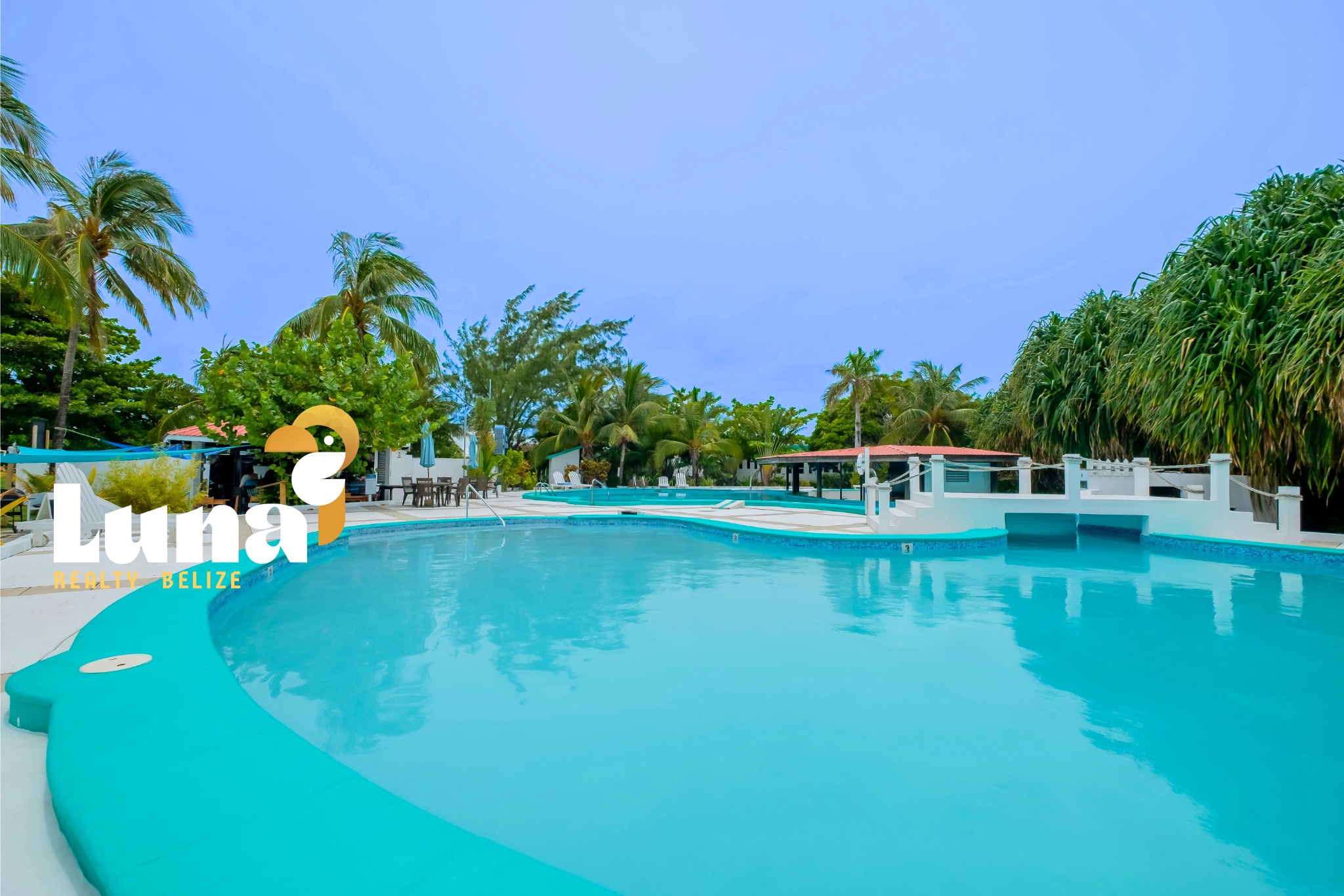 Resort pool with palm trees and greenery.