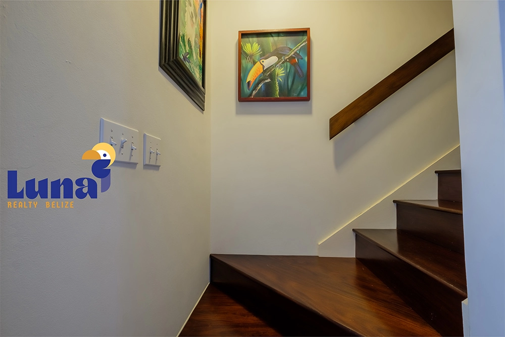 Wooden staircase with colorful wall paintings.