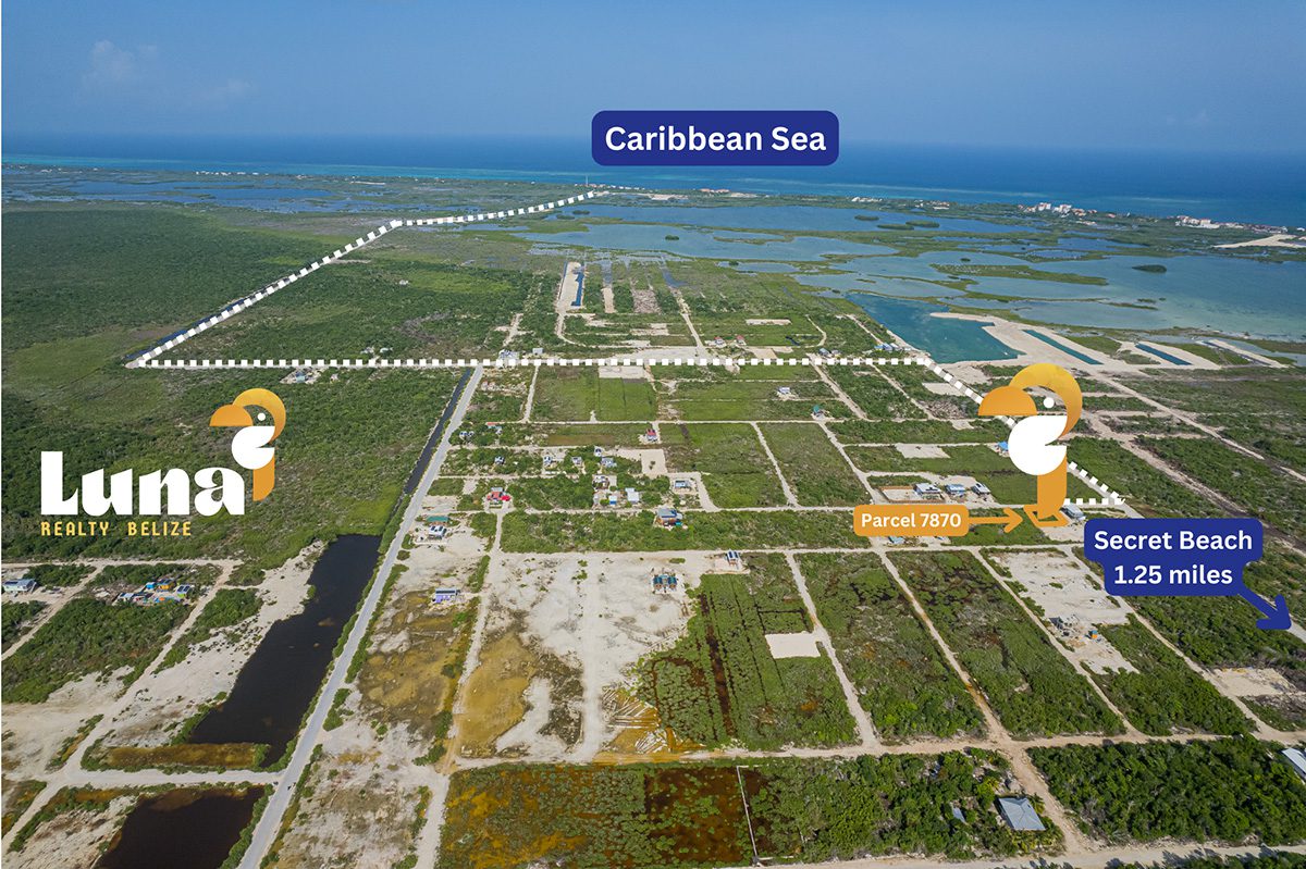 Aerial view of land near Caribbean Sea.
