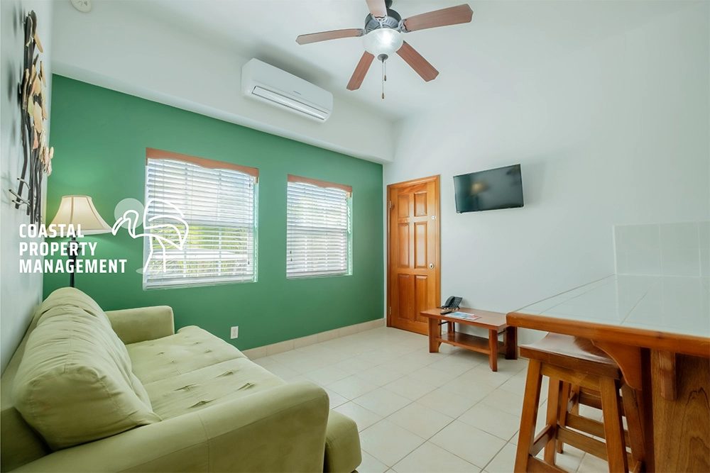 Small living room with sofa and TV.