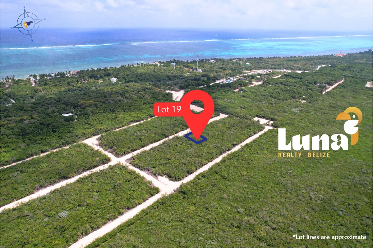 Aerial view of Lot 19, Luna Realty.