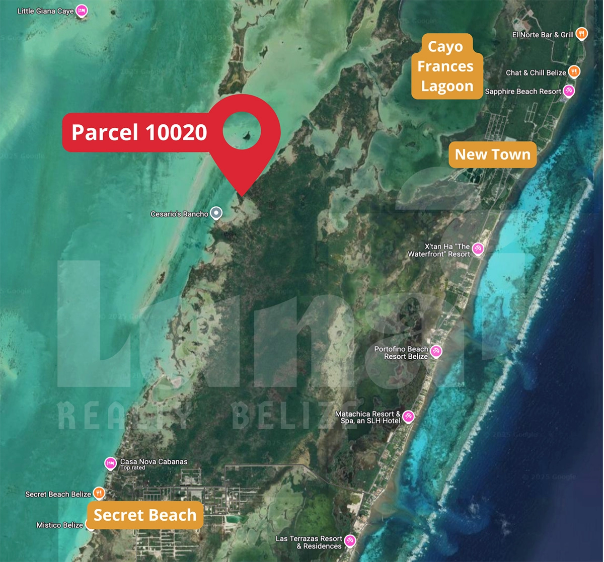 Map highlighting Parcel 10020 in Belize.