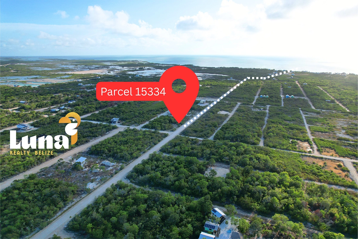 Aerial view of parcel 15334 in Belize.
