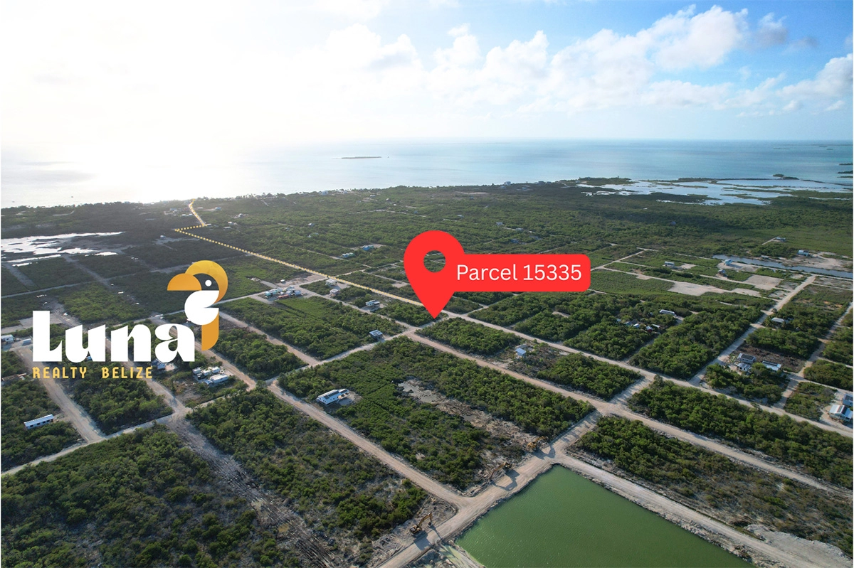 Aerial view of land parcel in Belize.
