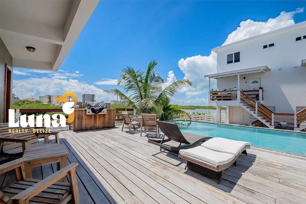 Poolside deck with lounge chairs and palm.