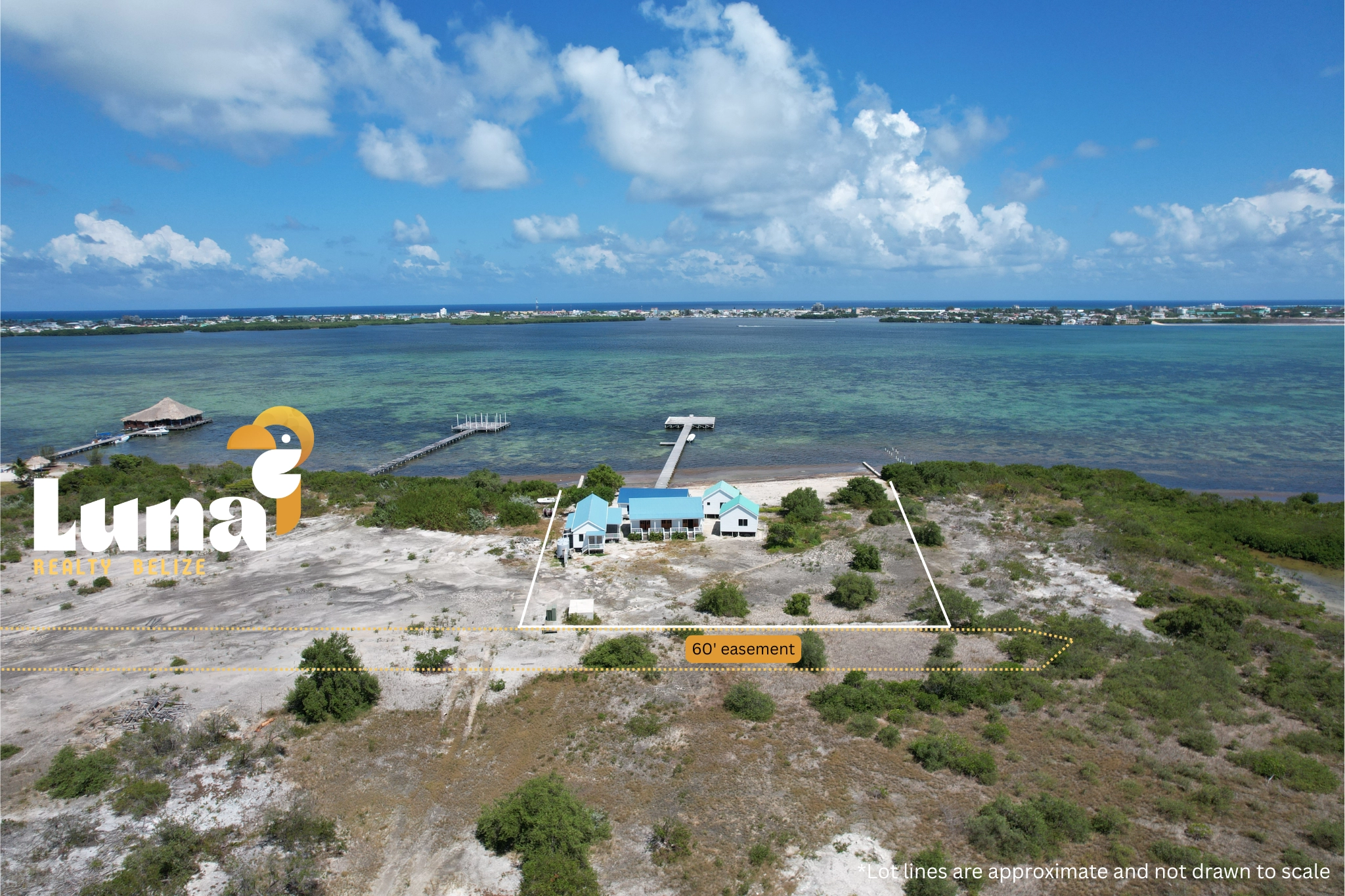 Aerial view of coastal land with vegetation.