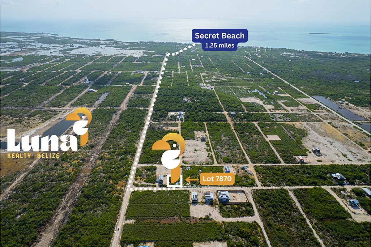 Aerial view of land plot near beach.