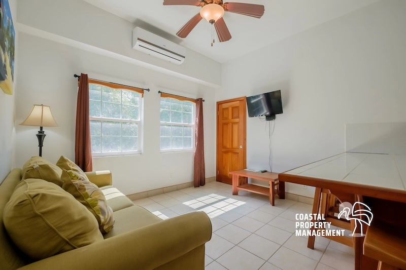 Living room with sofa and ceiling fan.