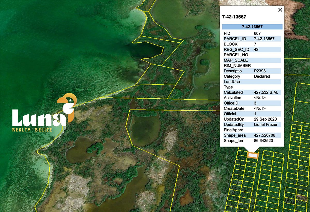 Map showing land parcels and data overlay.