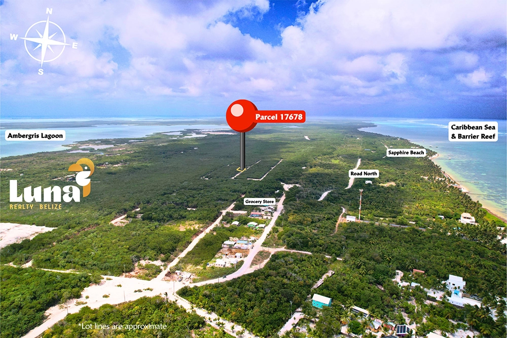 Aerial view of Ambergris Caye land parcel.