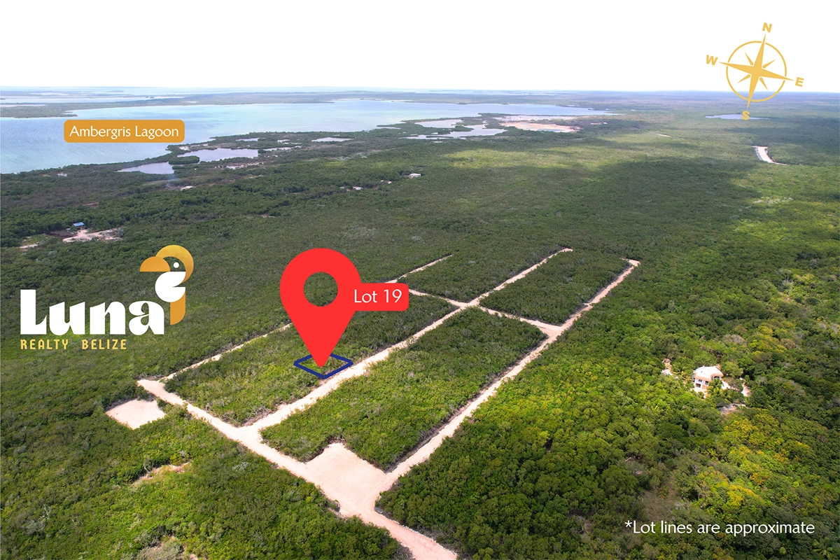 Aerial view of land for sale, Belize.