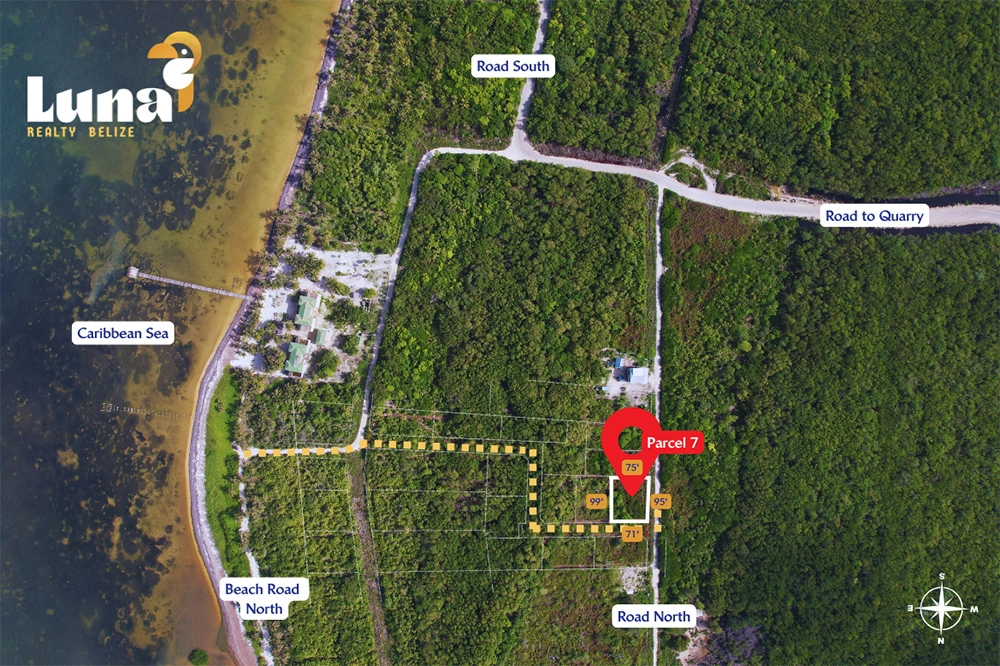 Aerial map of a forested area.