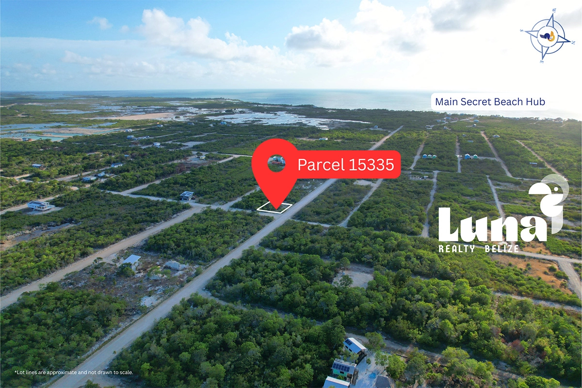 Aerial view of Parcel 15335 in Belize.
