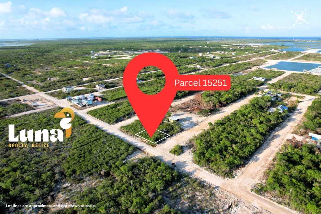 Aerial view of land parcel 15251, Belize.