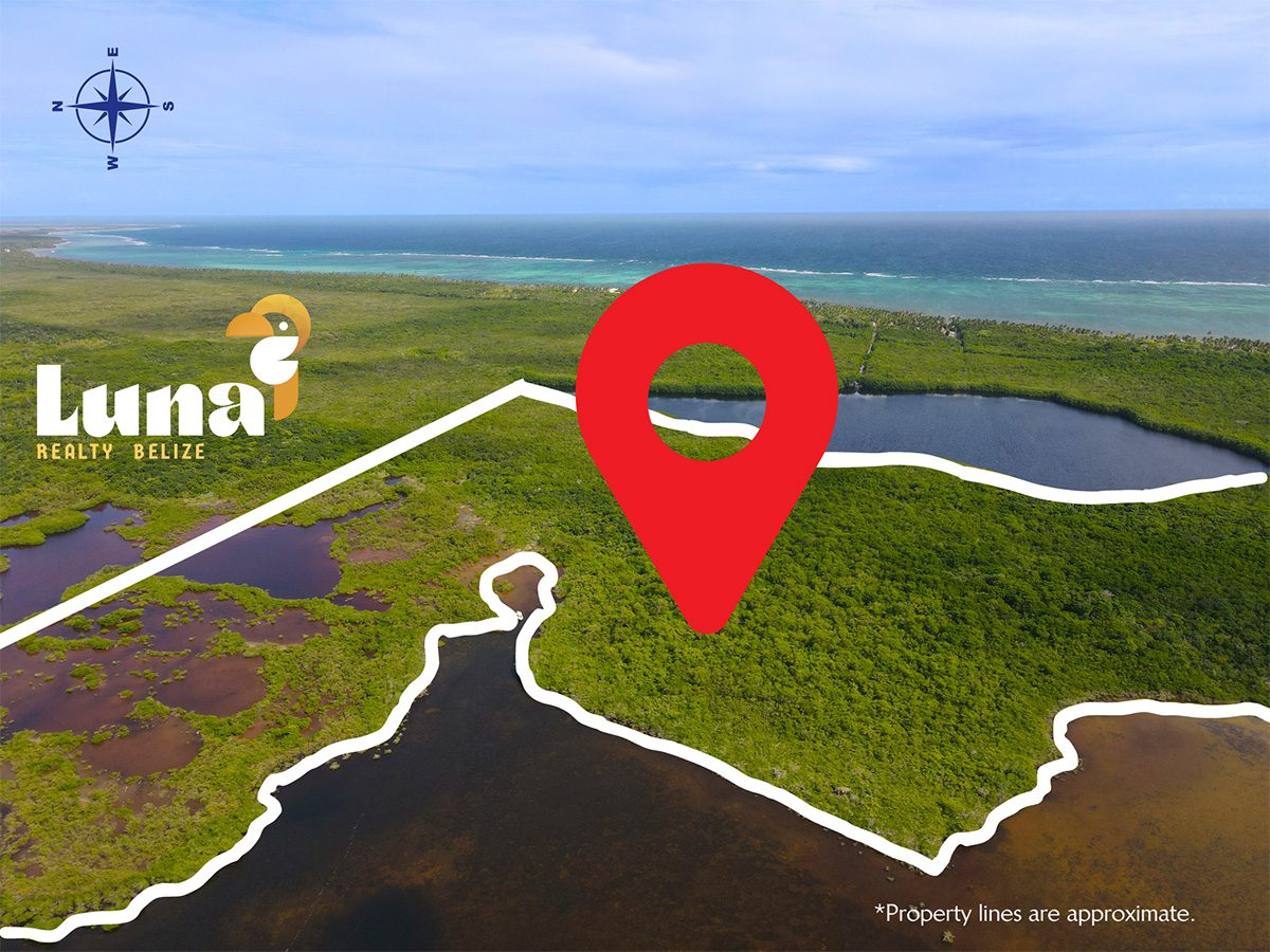Aerial view of coastal land with marker.