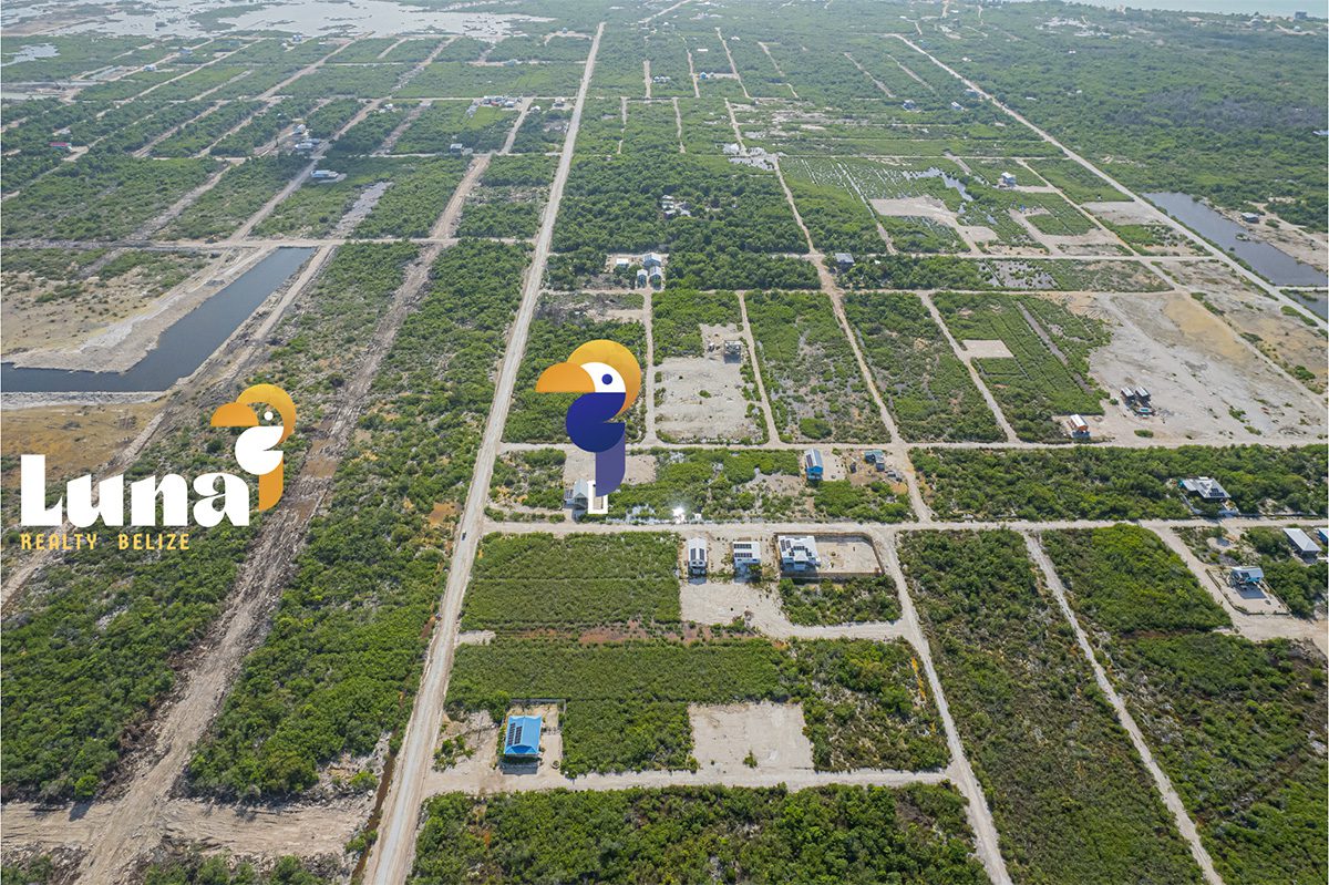 Aerial view of land plots and greenery.