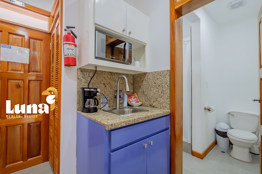 Kitchenette with sink, cabinets, and microwave.
