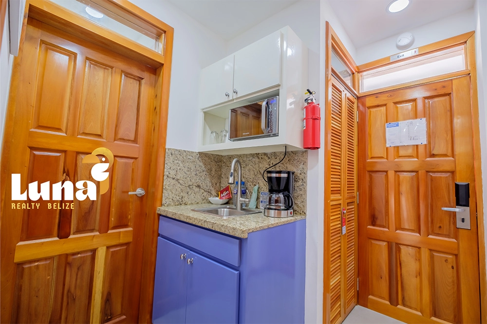 Small kitchenette with wooden doors and cabinets.