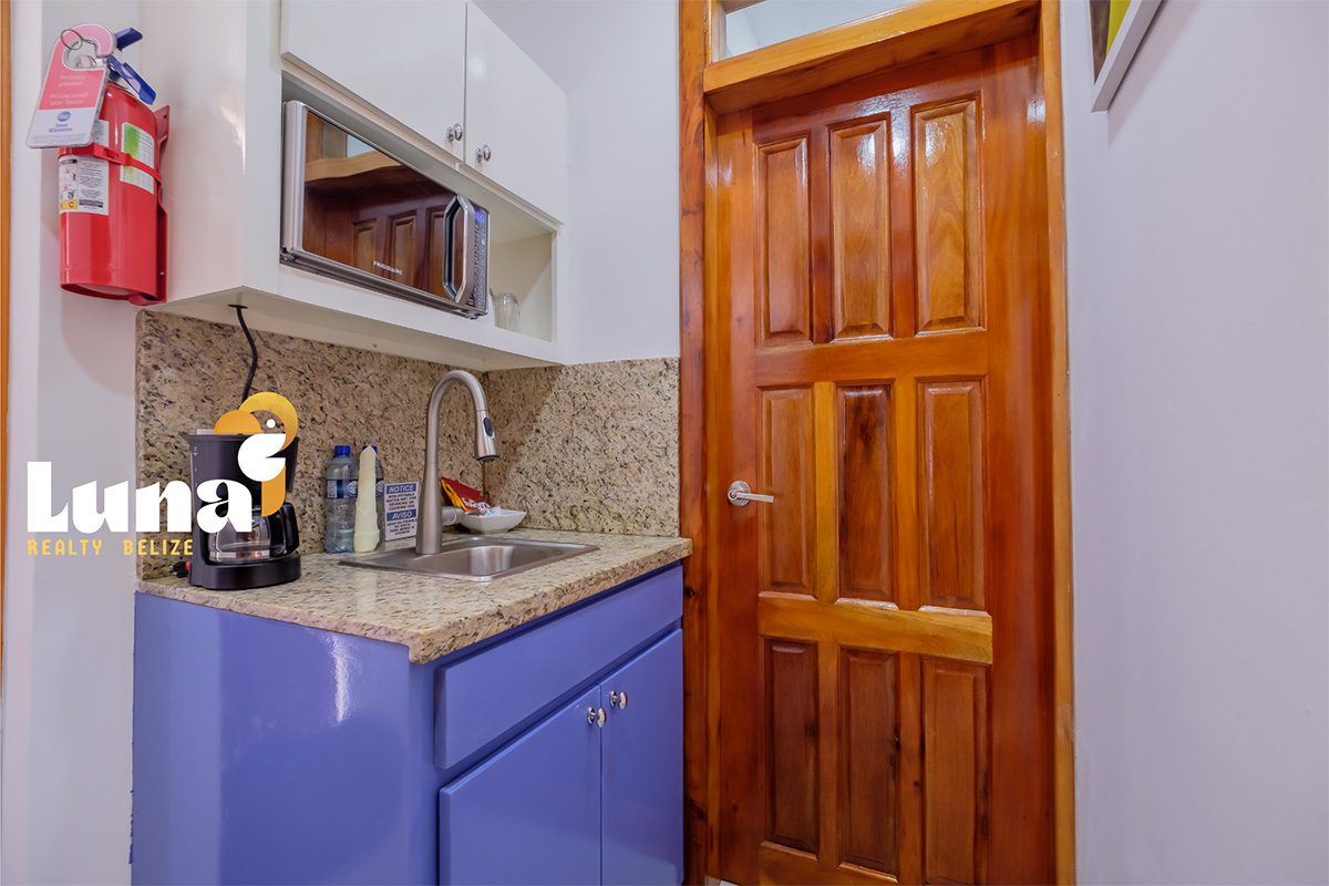 Small kitchen area with wooden door.