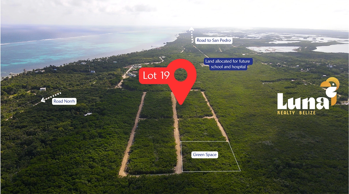Aerial view of Lot 19 with labels.