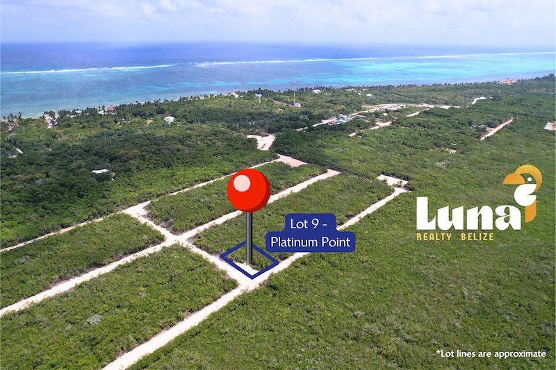 Aerial view of Lot 9, Belize coast.