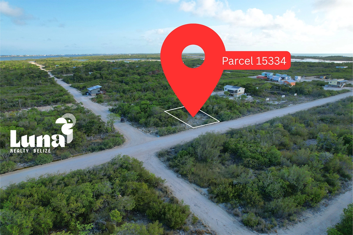 Aerial view of Parcel 15334 land plot.