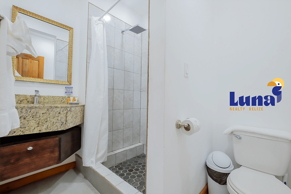 Modern bathroom with shower and toilet.