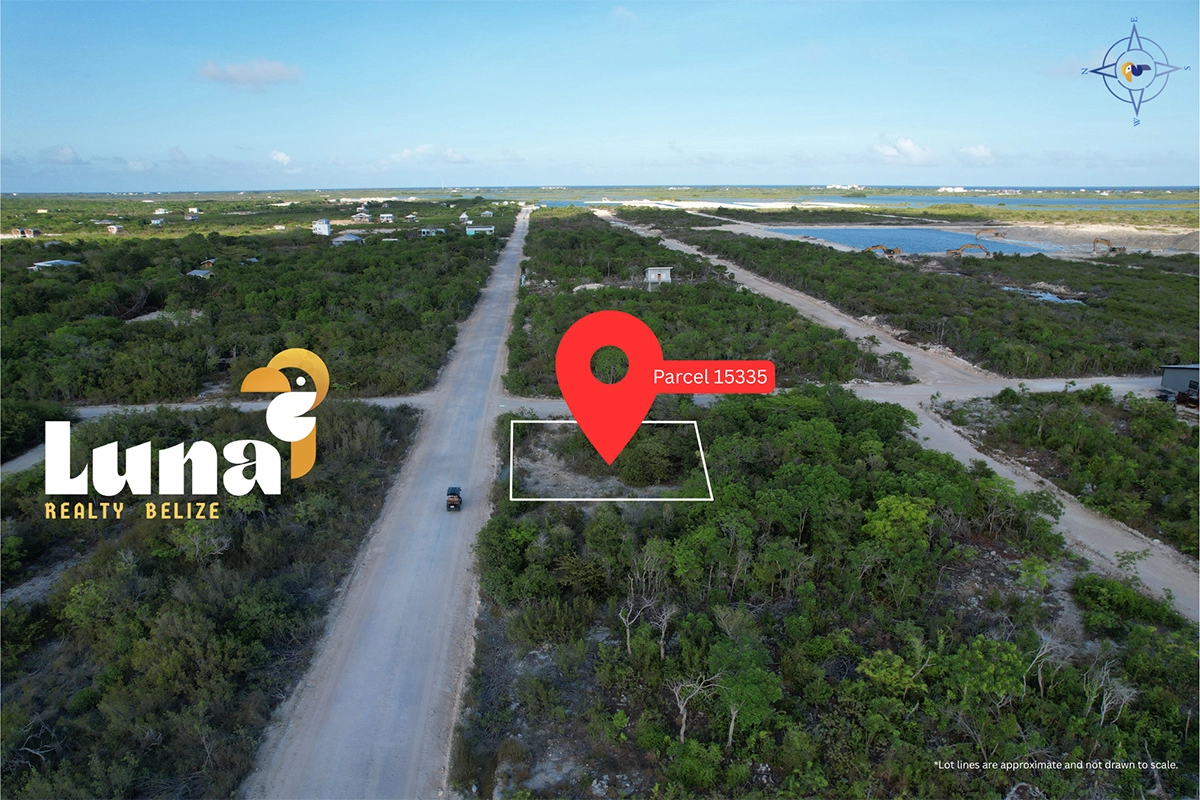 Aerial view of marked land parcel.