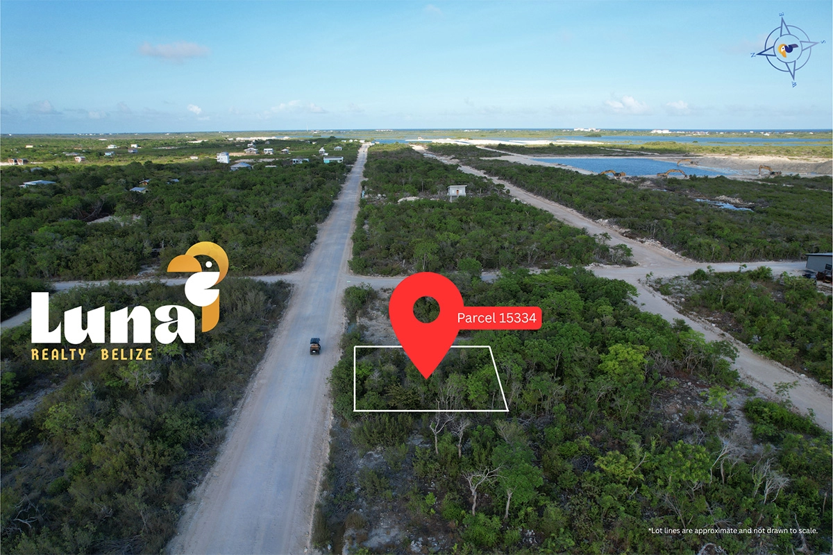 Aerial view of land parcel in Belize.