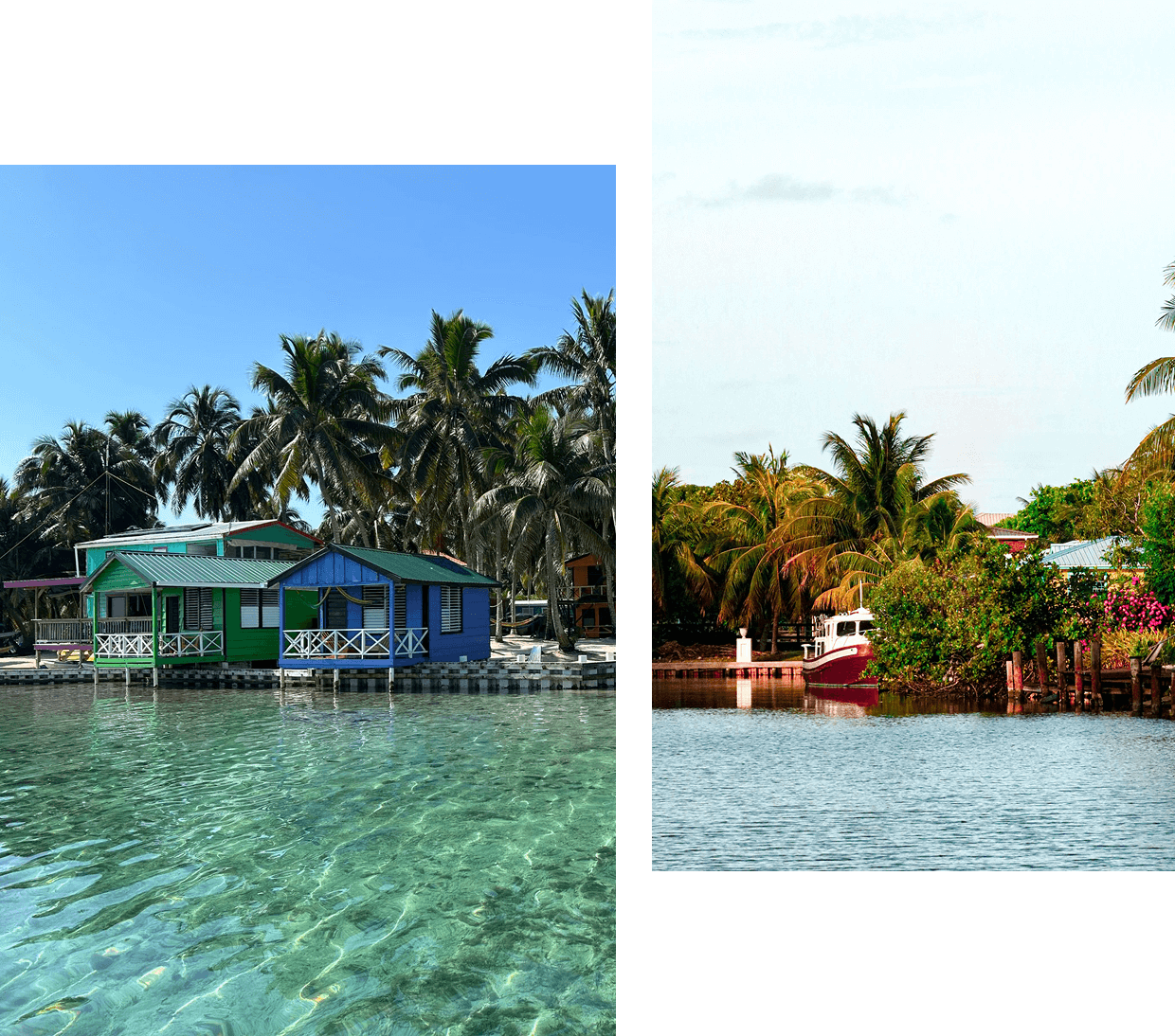 Tropical waterfront houses with palm trees.