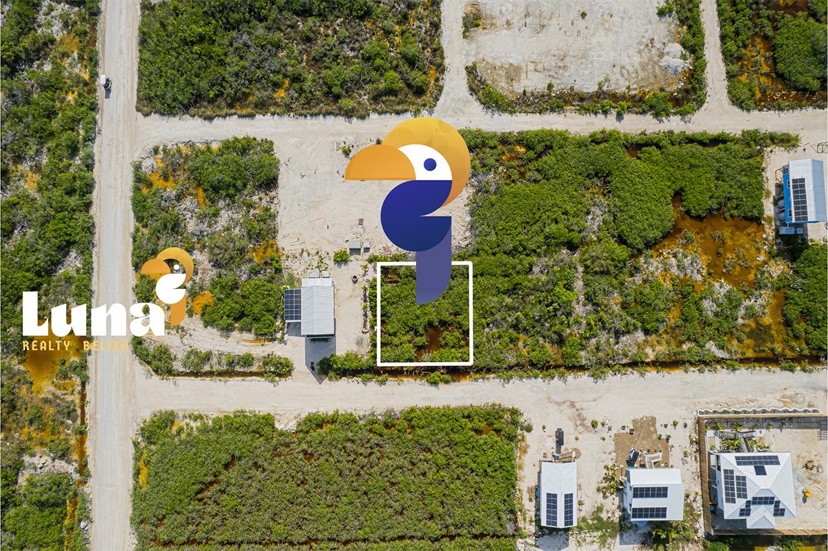 Aerial view of land with Luna logo.