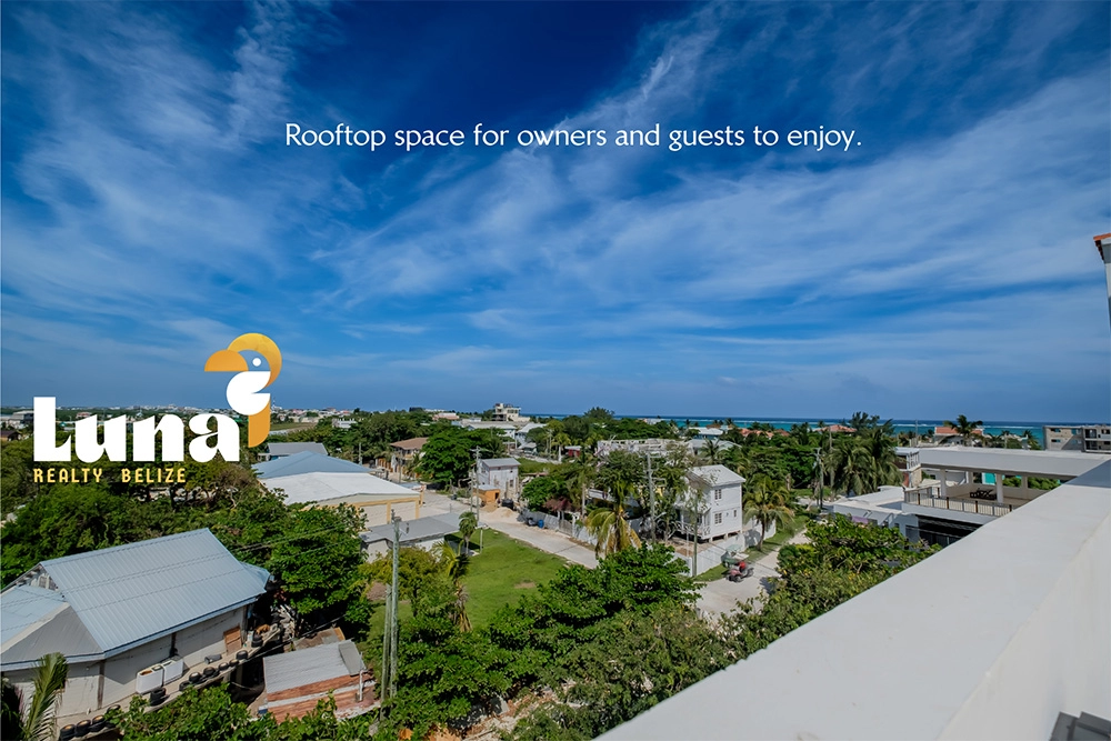 Rooftop view of a coastal neighborhood.