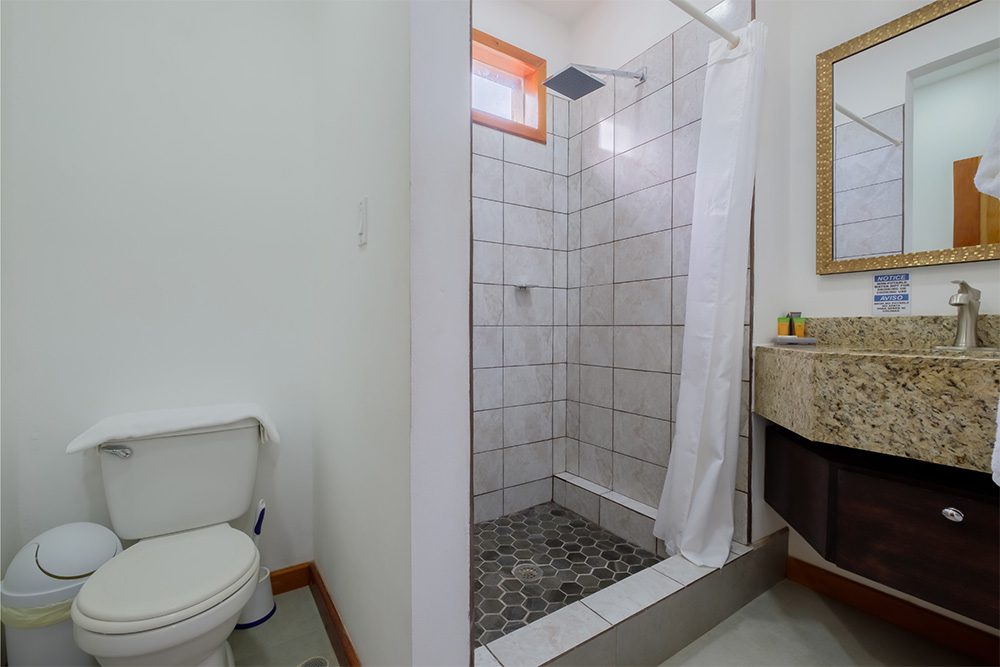 Modern bathroom with shower and toilet.