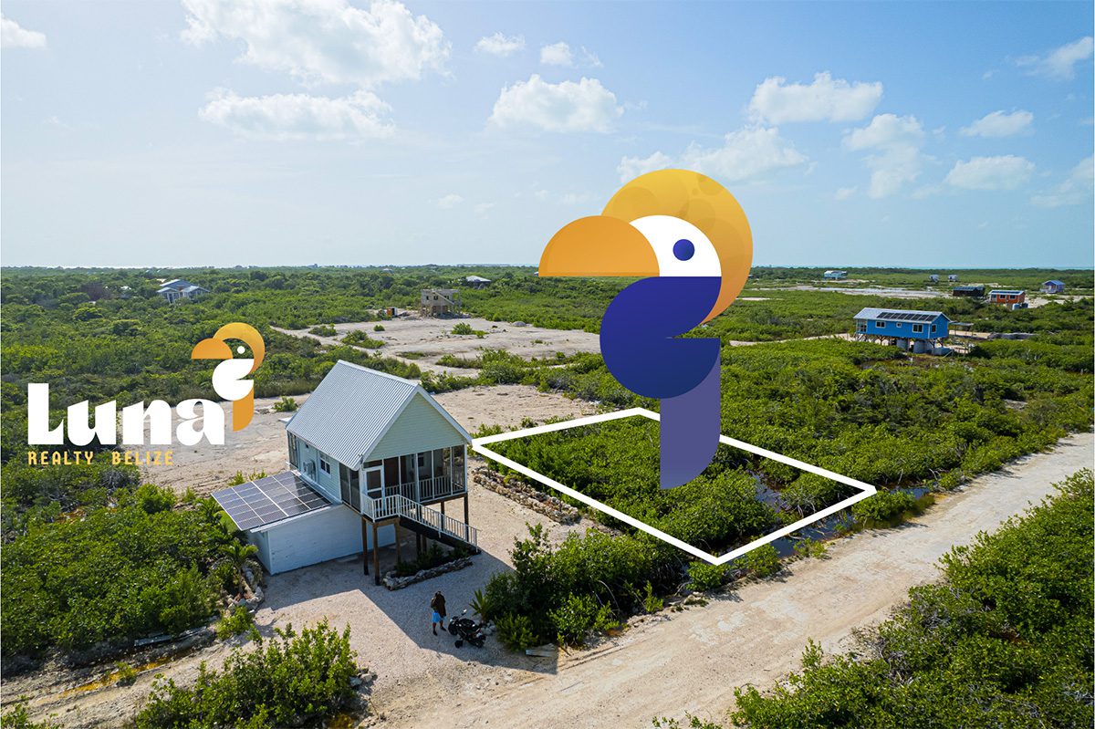 Aerial view of a house and land plot.
