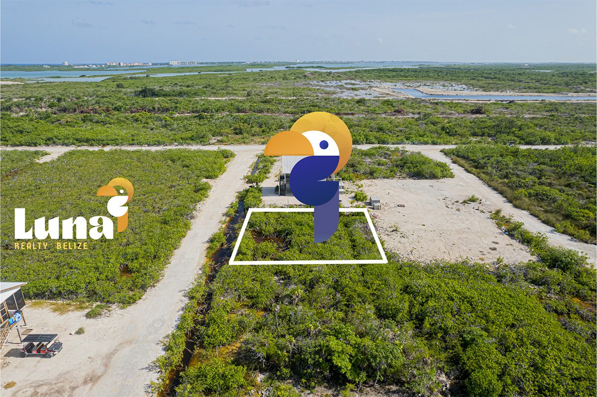 Aerial view of land plot in Belize.