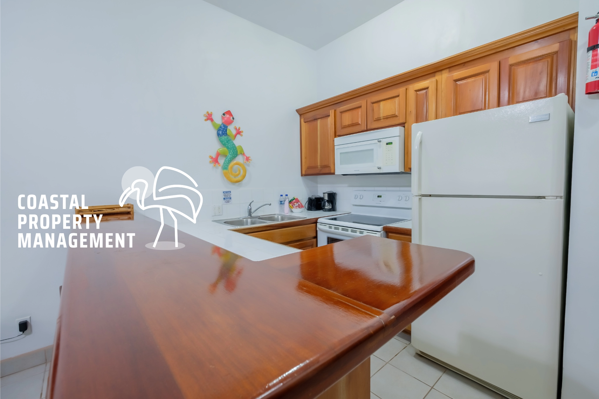 Kitchen with wooden cabinets and countertops.