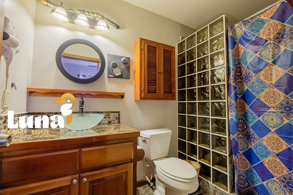 Bathroom with glass blocks and colorful shower curtain.
