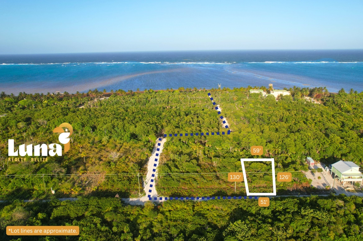 Aerial view of green landscape and ocean.