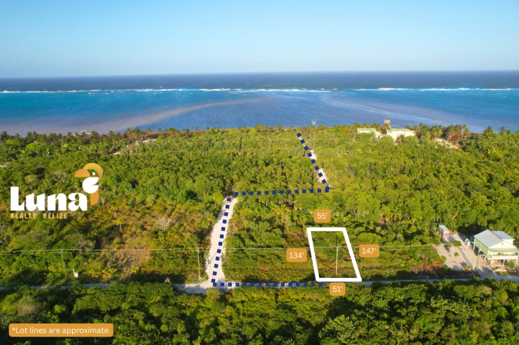 Aerial view of lush coastal land plot.