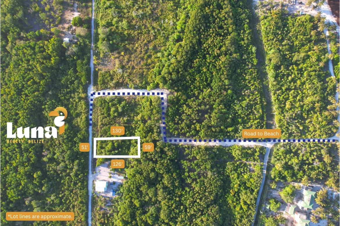Aerial view of forested land plots.