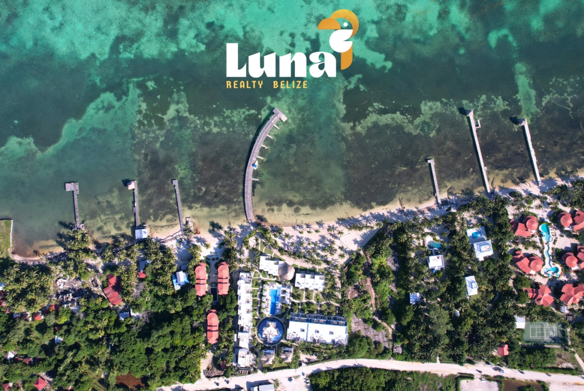 Aerial view of beachfront with docks and greenery.