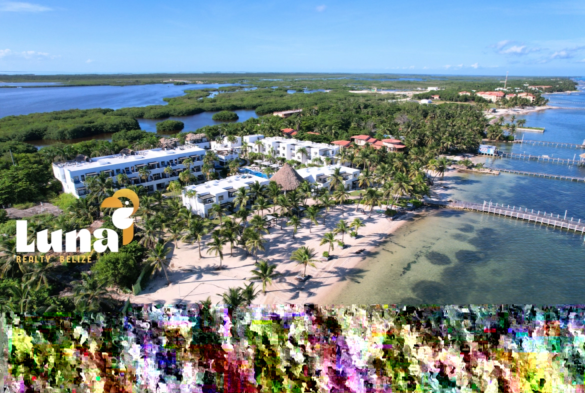 Aerial view of beachfront resort with trees.