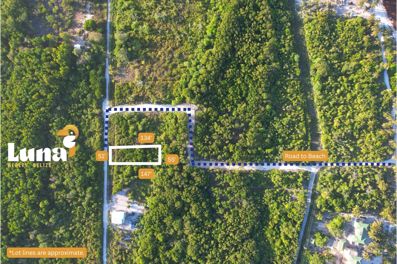 Aerial view of forested land plots.